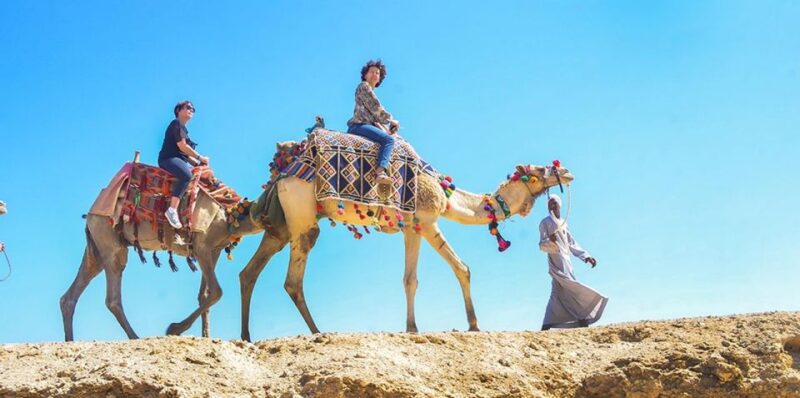 Marsa Alam: Sea and Desert Camel Riding Tour - Camel Riding Details
