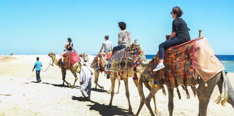 Marsa Alam: Sea and Desert Camel Riding Tour - Scenic Landscapes