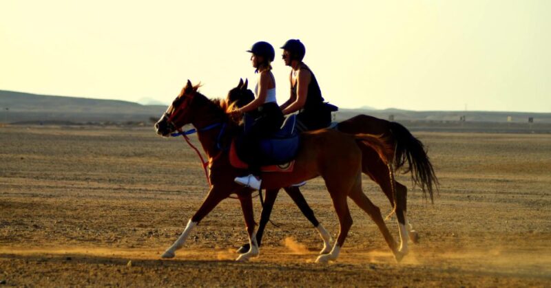Marsa Alam: Sea and Desert Horse Riding Tour - Key Points