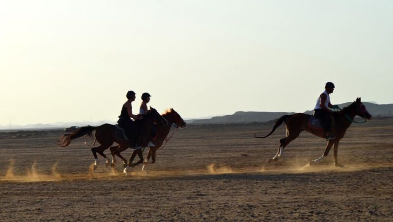 Marsa Alam: Sea and Desert Horse Riding Tour - Experience Highlights