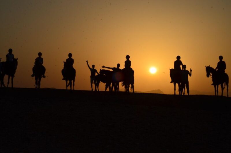 Marsa Alam: Sea and Desert Horse Riding Tour - Tour Details