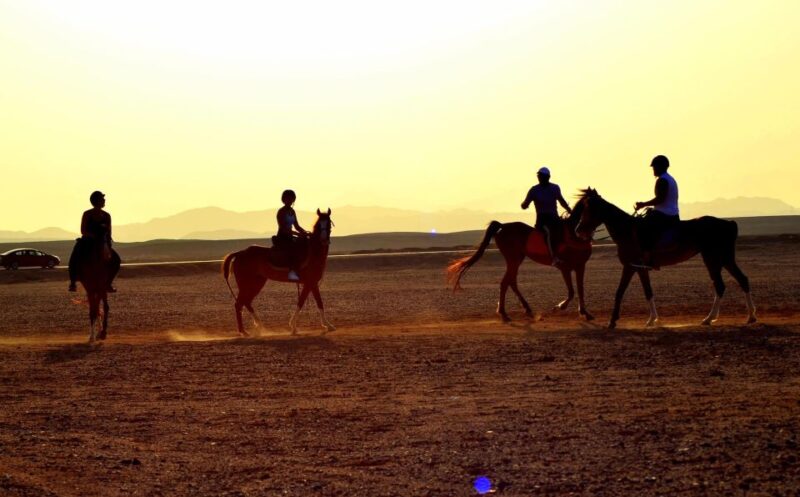 Marsa Alam: Sea and Desert Horse Riding Tour - What to Bring