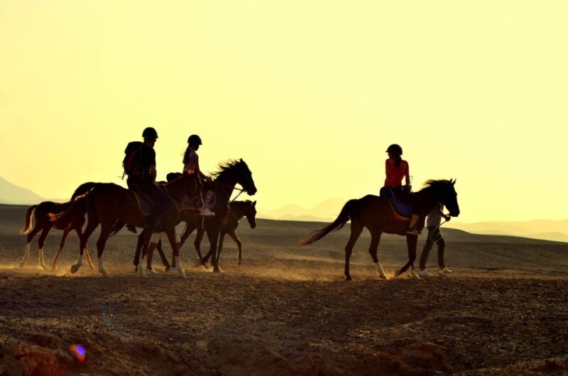 Marsa Alam: Sea and Desert Horse Riding Tour - Customer Feedback