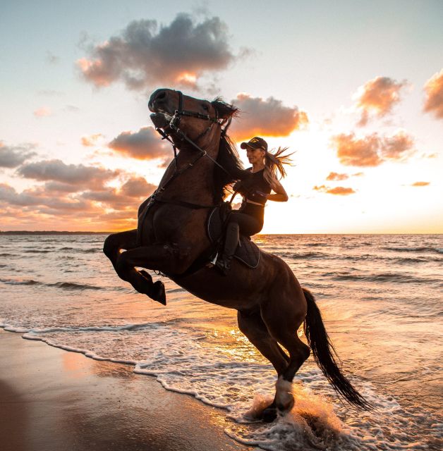 Marsa Alam: Sea and Desert Horse Riding Tour - Unique Horseback Riding Journey