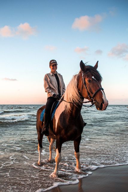 Marsa Alam: Sea and Desert Horse Riding Tour - Exploring Coral Reefs and Marine Life
