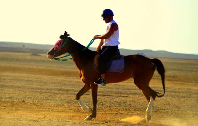 Marsa Alam: Sea and Desert Horse Riding Tour - Frequently Asked Questions