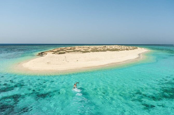Marsa Alam: Snorkel With Sea Cows and Turtles at Marsa Mubarak - Exploring the Marsa Mubarak Snorkeling Spot