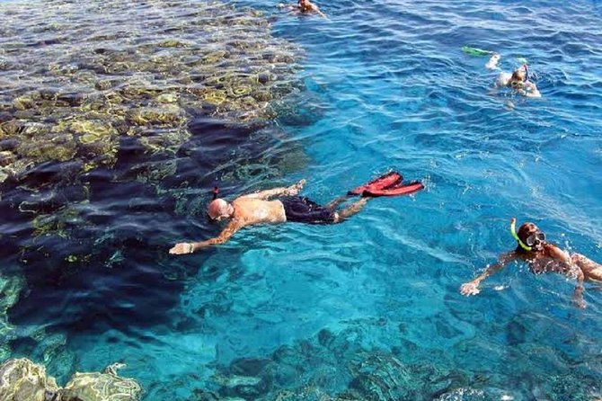 Marsa Alam: Snorkeling at Abu Dabab Beach - Key Points