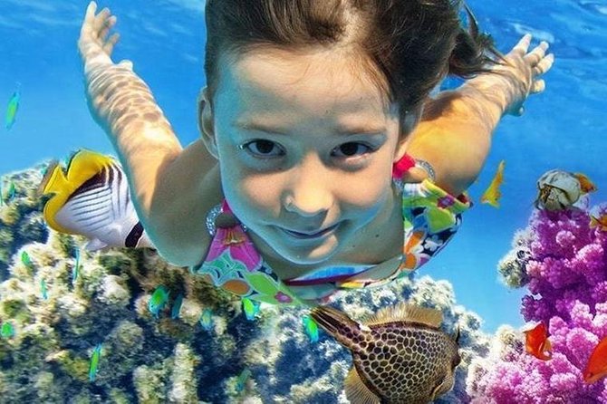 Marsa Alam: Snorkeling at Abu Dabab Beach - Snorkeling Experience