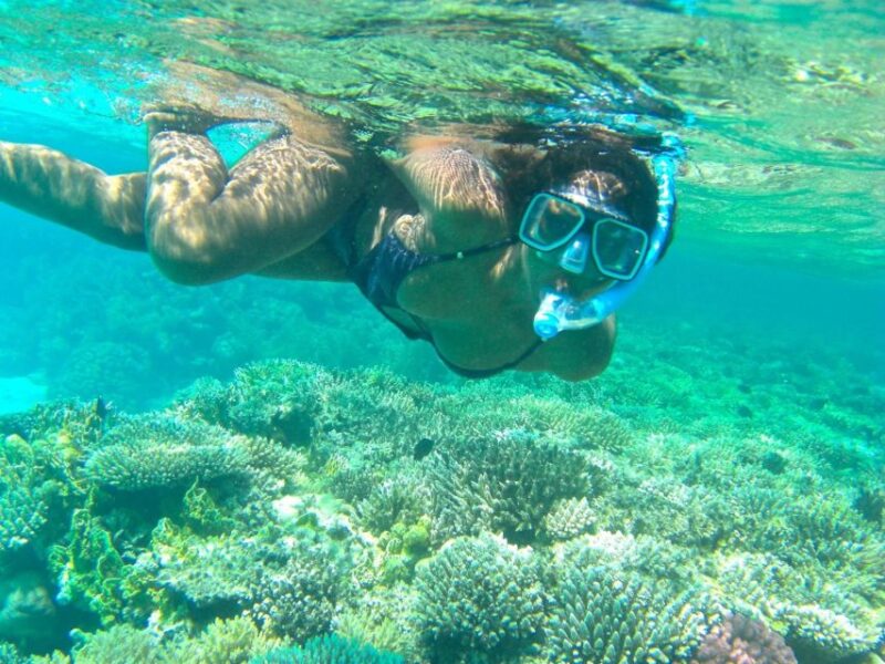 Marsa Alam: Snorkeling Boat Trip With Sea Turtles and Lunch - Key Points