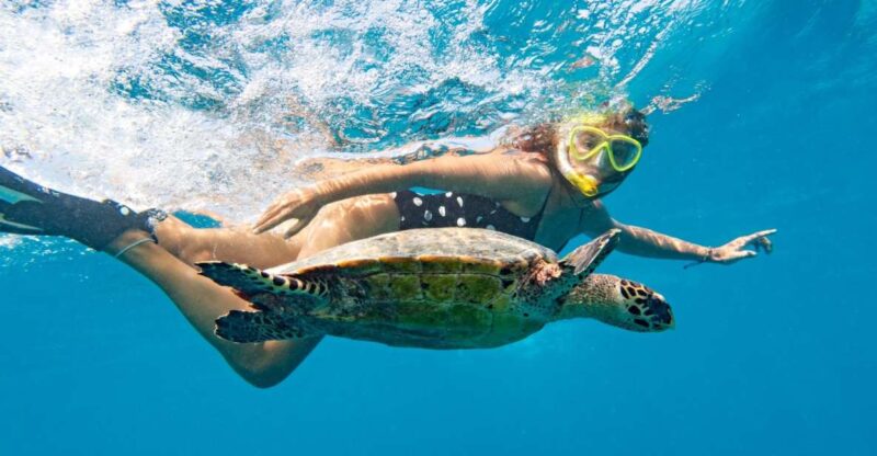 Marsa Alam: Snorkeling Boat Trip With Sea Turtles and Lunch - Itinerary Details
