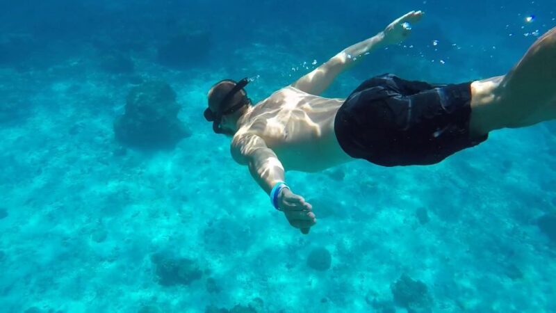 Marsa Alam: Snorkeling Boat Trip With Sea Turtles and Lunch - Snorkeling Highlights