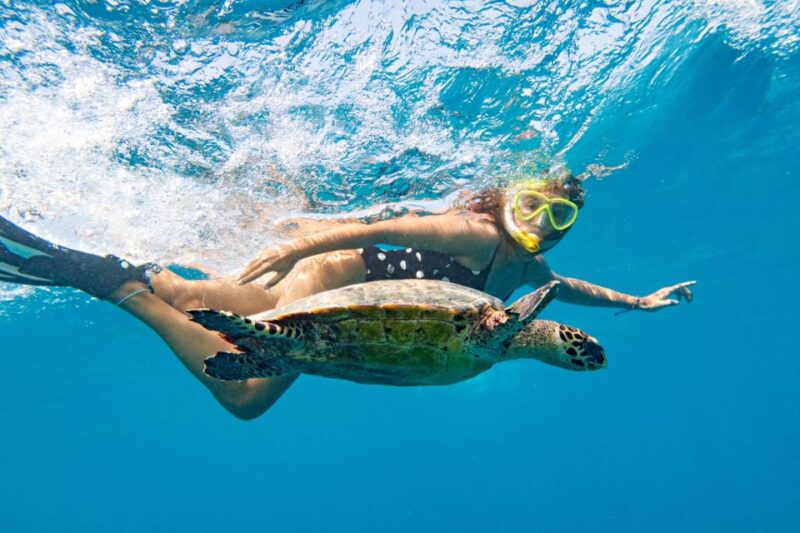 Marsa Alam: Snorkeling Boat Trip With Sea Turtles and Lunch - Cancellation Policy
