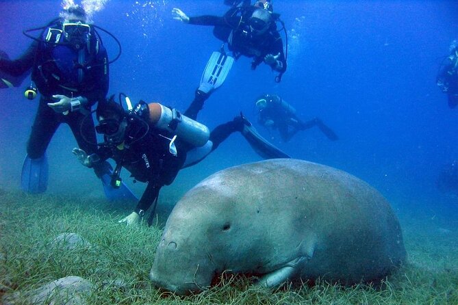 Marsa Mubarak Full Day and One Intro Diving With Lunch, Transfer - Marsa Alam - Overview of the Tour