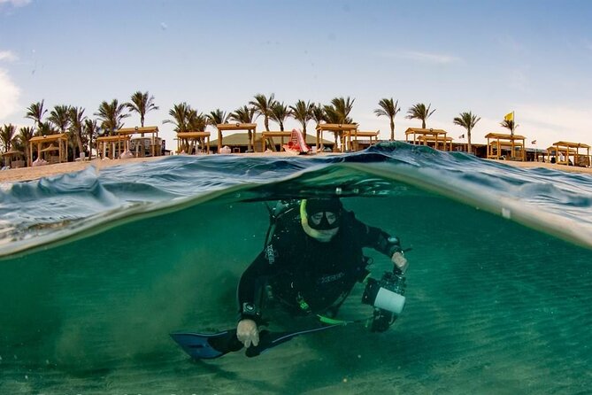 Marsa Mubarak Full Day and One Intro Diving With Lunch, Transfer - Marsa Alam - Pricing and Group Size
