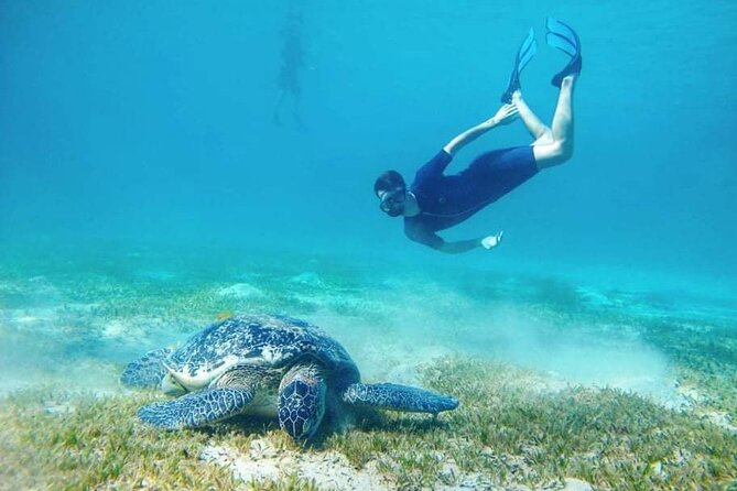 Marsa Mubarak Snorkeling With Dugongs and Turtles - Marsa Alam - Additional Information for Travelers