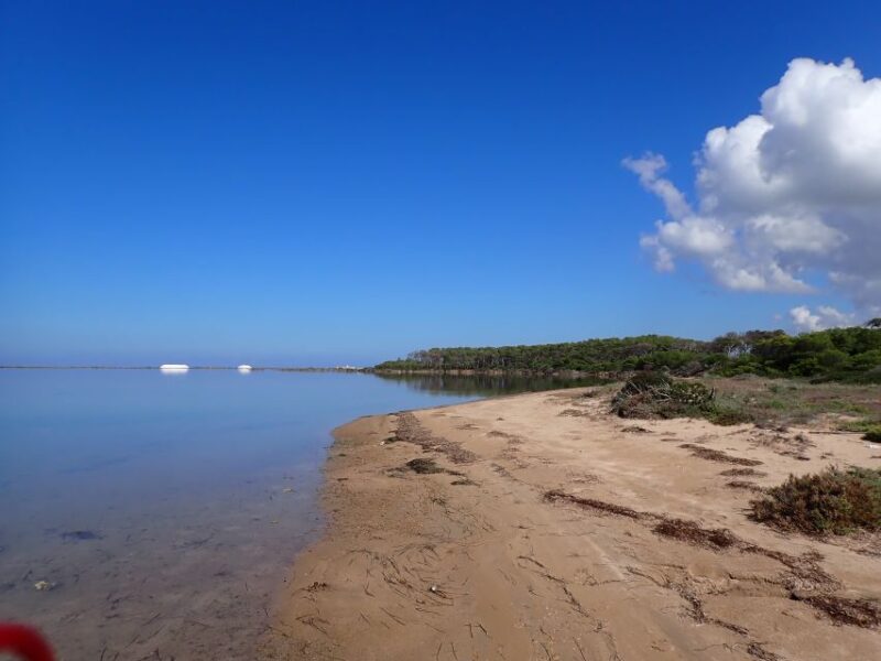 Marsala: Kayak Tour in Stagnone Di Marsala Nature Reserve - Key Points
