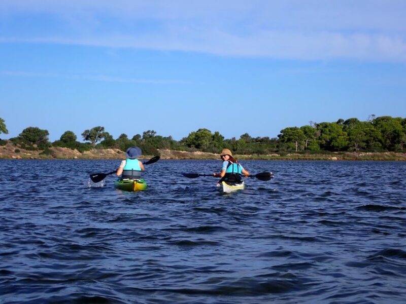 Marsala: Kayak Tour in Stagnone Di Marsala Nature Reserve - Highlights of the Experience
