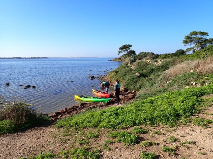 Marsala: Kayak Tour in Stagnone Di Marsala Nature Reserve - Enjoying Sicilian Cuisine