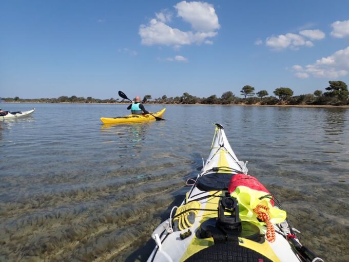 Marsala: Kayak Tour in Stagnone Di Marsala Nature Reserve - Frequently Asked Questions
