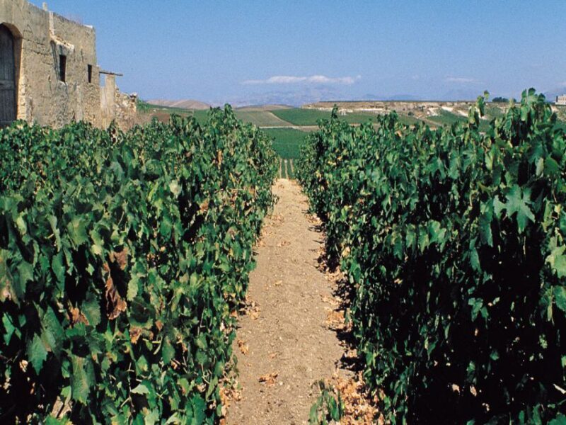 Marsala: Winery Tour With Wine Tasting and Local Products - Overview of the Winery Tour