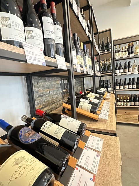 Marseile: Taste the Wines of the South in a Top Wine Shop. - Explore the Venue and Atmosphere