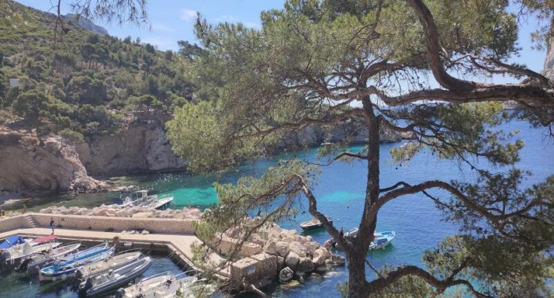 Marseille, Aix-en-Provence & Cassis 8-Hour Tour - Panoramic Views of Marseille