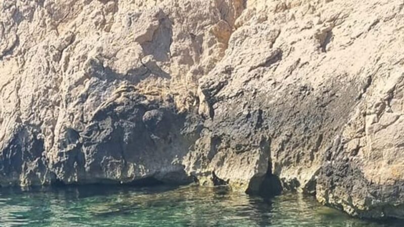 Marseille: Calanques National Park Eco-Friendly Cruise - Key Points