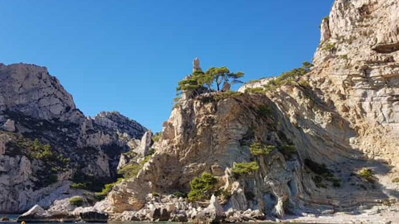 Marseille: Calanques National Park Eco-Friendly Cruise - Eco-Friendly Cruise Experience