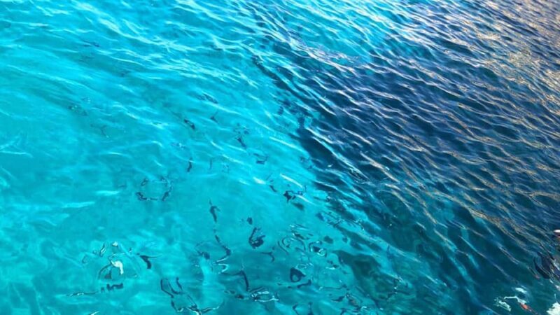Marseille: Calanques National Park Eco-Friendly Cruise - Itinerary and Duration