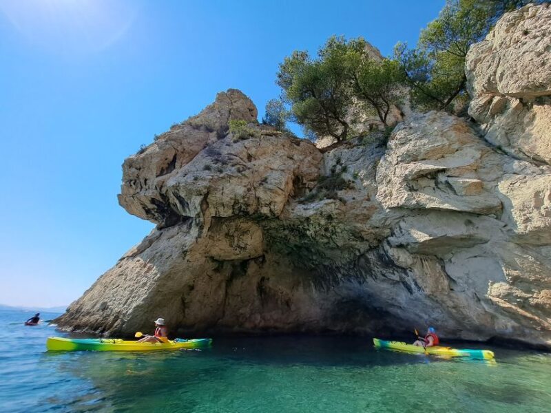 Marseille: Calanques of the Côte Bleue Half-Day Kayak Tour - Inclusions