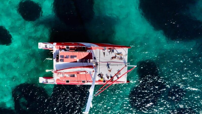 Marseille: Calanques Sailing Catamaran Cruise With Swimming - Key Points