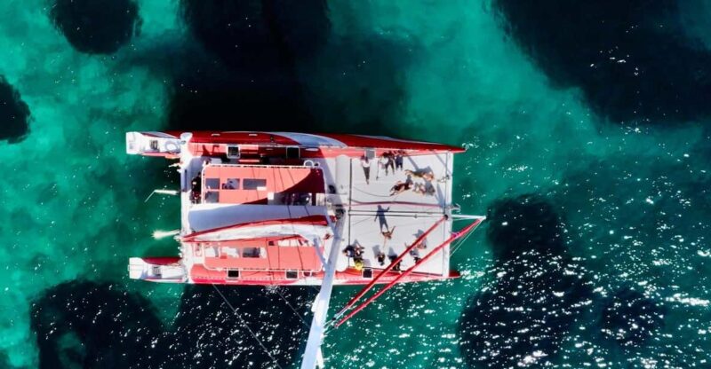 Marseille: Calanques Sailing Catamaran Cruise With Swimming - Tour Pricing and Availability