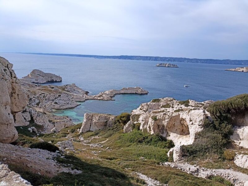 Marseille: Catamaran Cruise to Discover Frioul Islands - Key Points