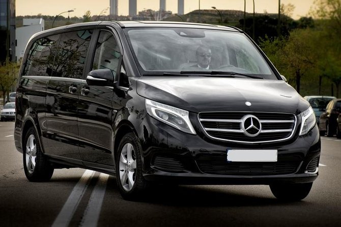 Marseille City Private Tour From Marseille Cruise Port or Hotel by Luxury Van - Customizable Itinerary