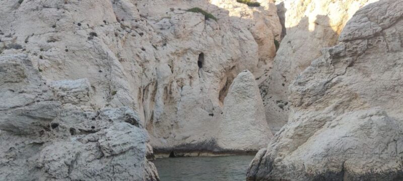 Marseille: Cruise to the Island of Frioul & Château D'if - Experience Marseille Skyline