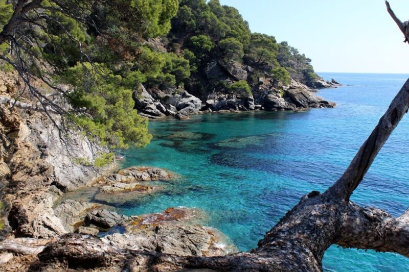 Marseille: Day Boat Ride in the Calanques With Wine Tasting - Refreshing Swim and Snorkeling in Turquoise Waters