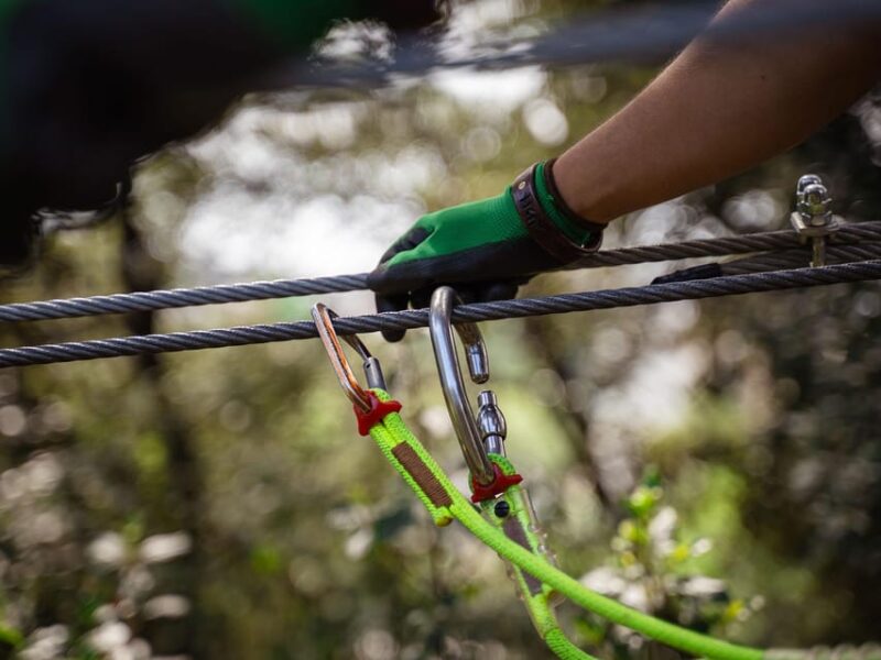 Marseille: Ecopark Adventures Treetop Adventure - Adventure Course Offerings