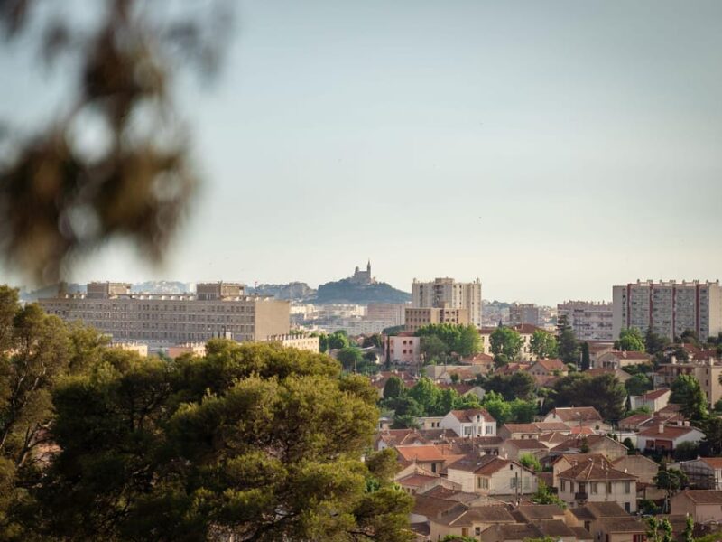 Marseille: Ecopark Adventures Treetop Adventure - Zip Line Experience