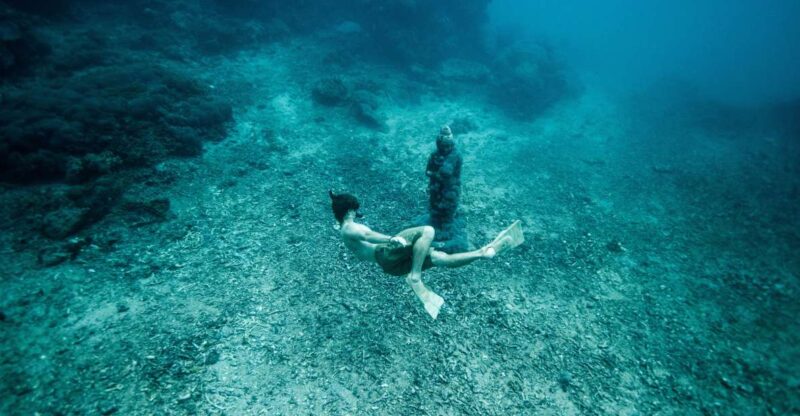 Marseille: Endoume Snorkeling Adventure With Snacks & Drinks - Inclusions and Whats Provided