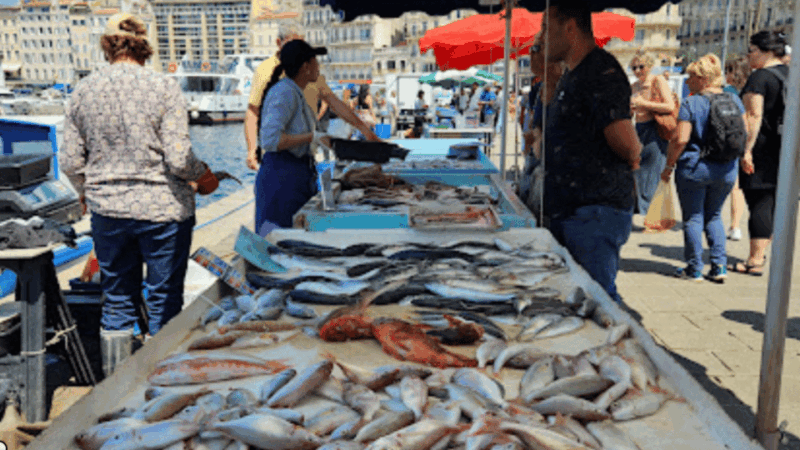 Marseille Gourmet Food Walking Tour : Taste Maritime Culture - Maritime Culture and Signature Dishes