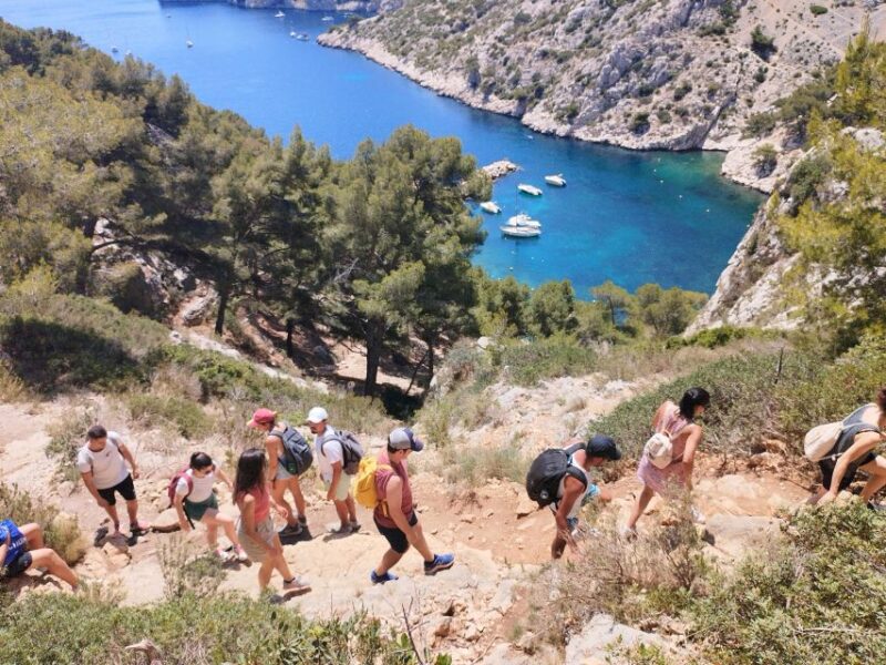 Marseille: Guided Hiking Calanques National Park From Luminy - Pricing and Availability