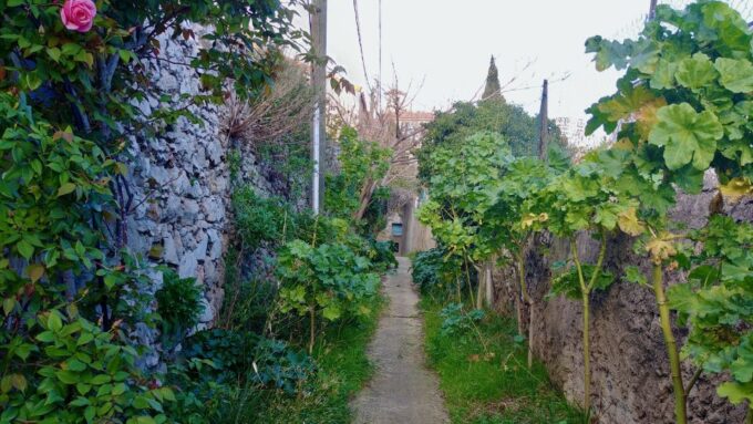 Marseille: Local Neighborhoods Guided Walking Tour - Discovering Marseilles Neighborhoods