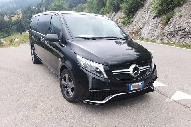 Marseille Provence Cruise Terminal to Marseille - Arrival Private Transfer - Meeting Options