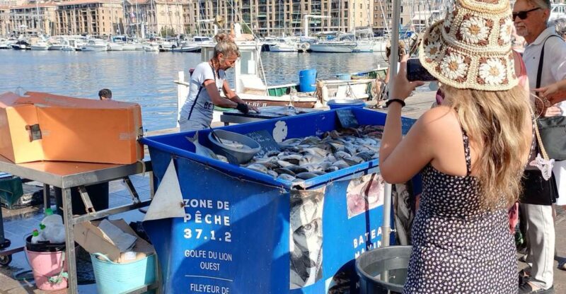 Marseille Seen From the Inside, Local Experiences - Indulge in a Secret Swim