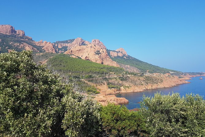 MARSEILLE Shore Excursion Full Day Private Tour: Taste of Provence - Expectations During the Excursion