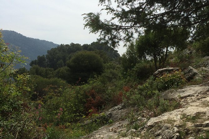 MARSEILLE Shore Excursion Full Day Private Tour: Taste of Provence - Additional Information