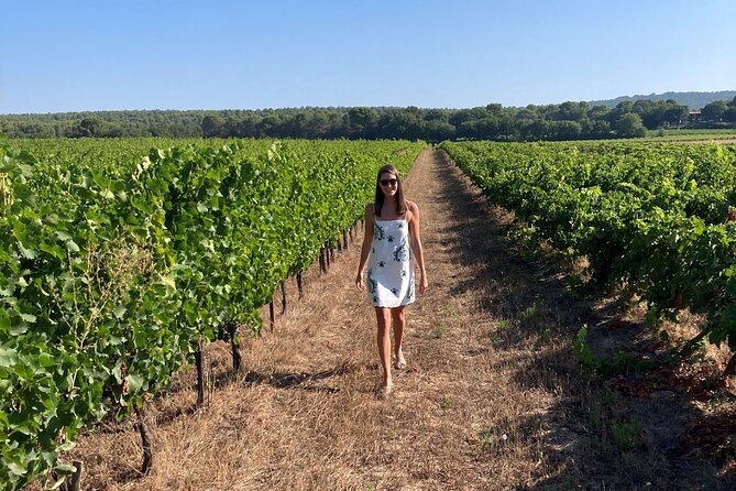 Marseille Shore Excursion - Full Day Wine Tour in Provence - Transportation and Accessibility