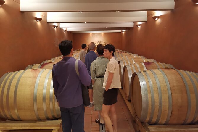 Marseille Shore Excursion - Full Day Wine Tour in Provence - Booking and Cancellation Policy