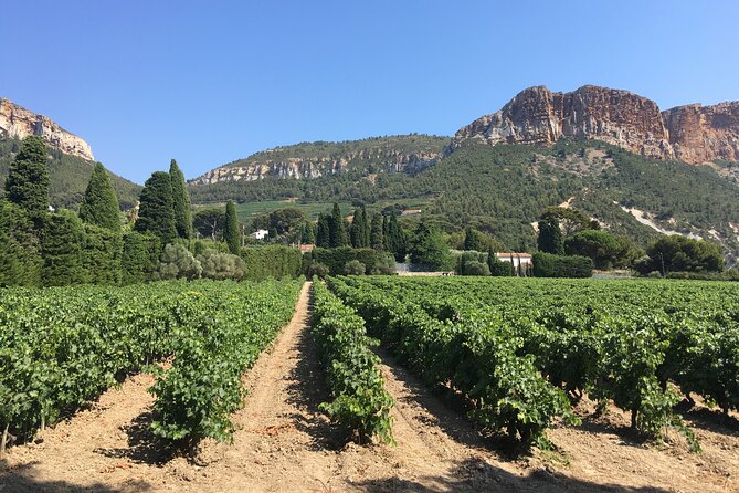 Marseille Shore Excursion - Private Full Day Wine Tour in Provence - Customer Reviews and Experiences